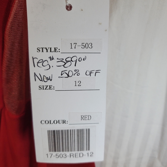 Beaded Sheer Dress - Picture 6 of 6